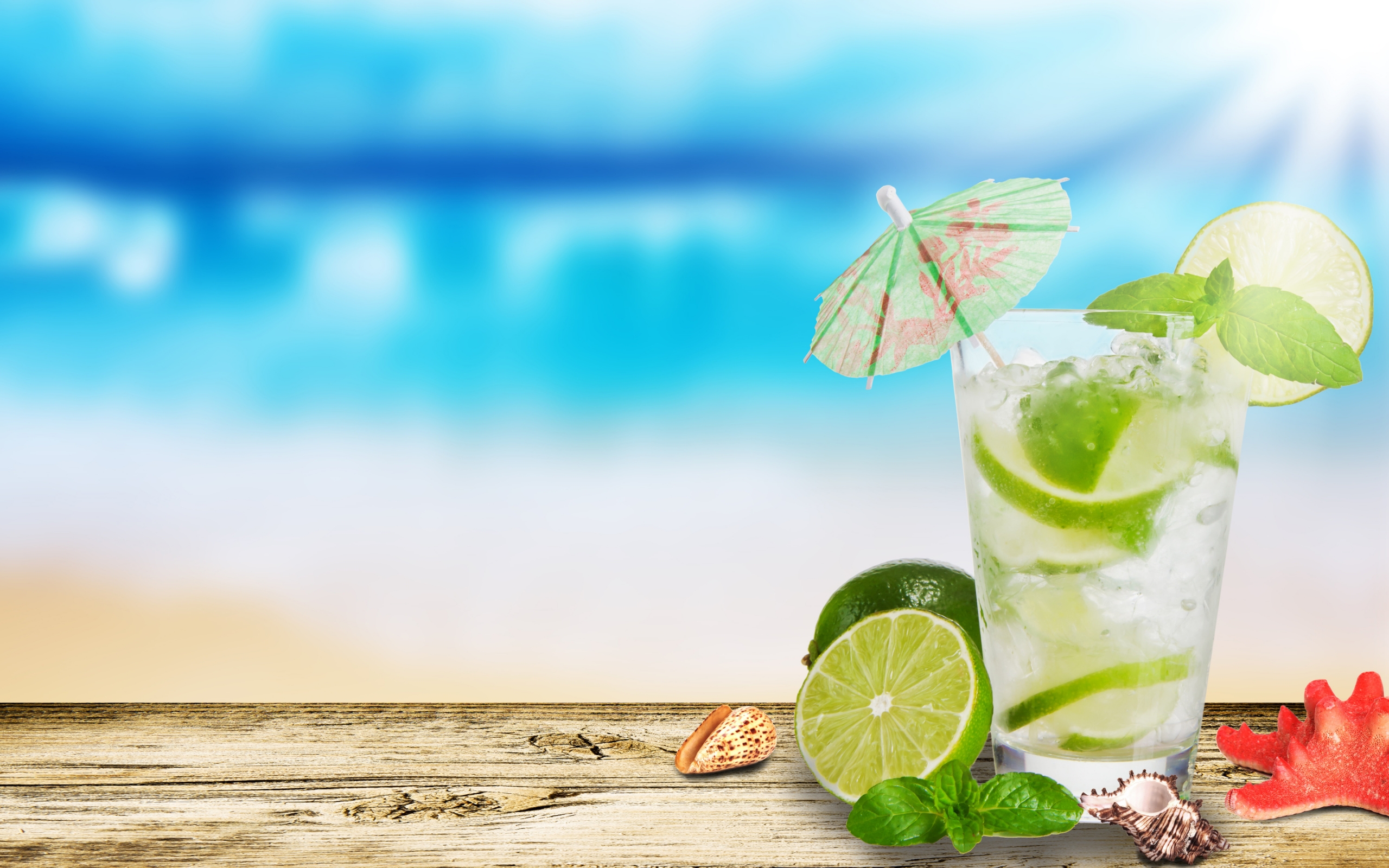 Mojito Cocktail for 2560 x 1600 widescreen resolution