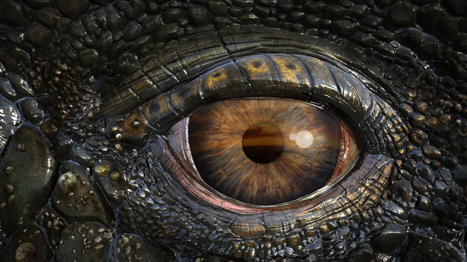 Mosasaur Eye for 1600 x 900 HDTV resolution