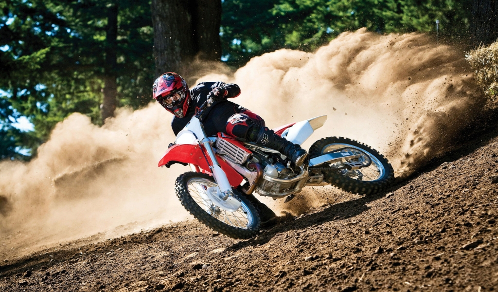 Moto Race in Forest for 1024 x 600 widescreen resolution