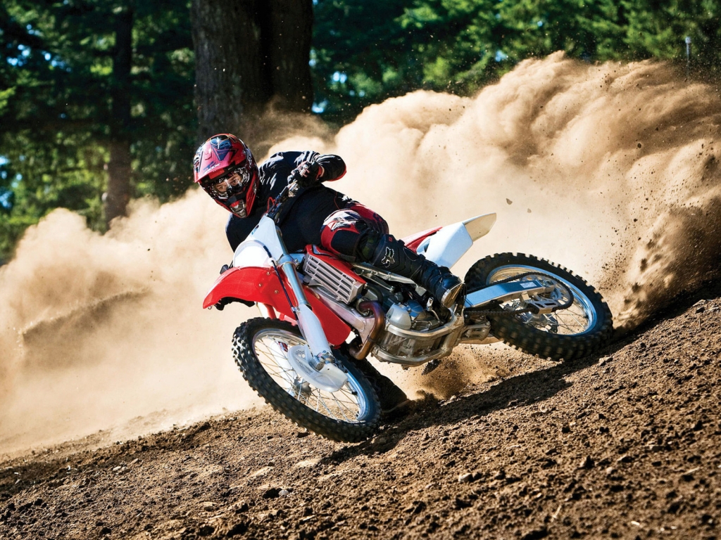 Moto Race in Forest for 1024 x 768 resolution