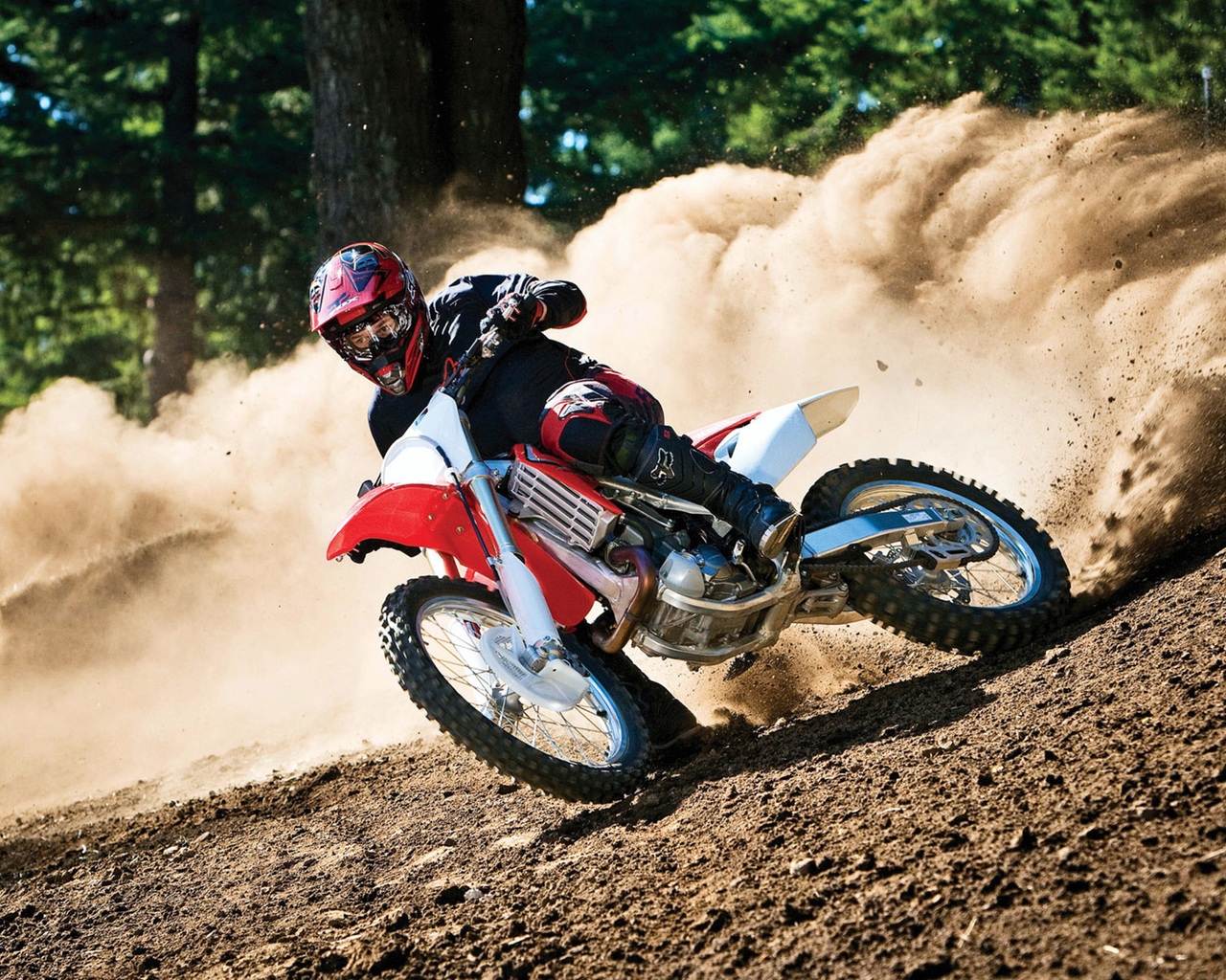Moto Race in Forest for 1280 x 1024 resolution