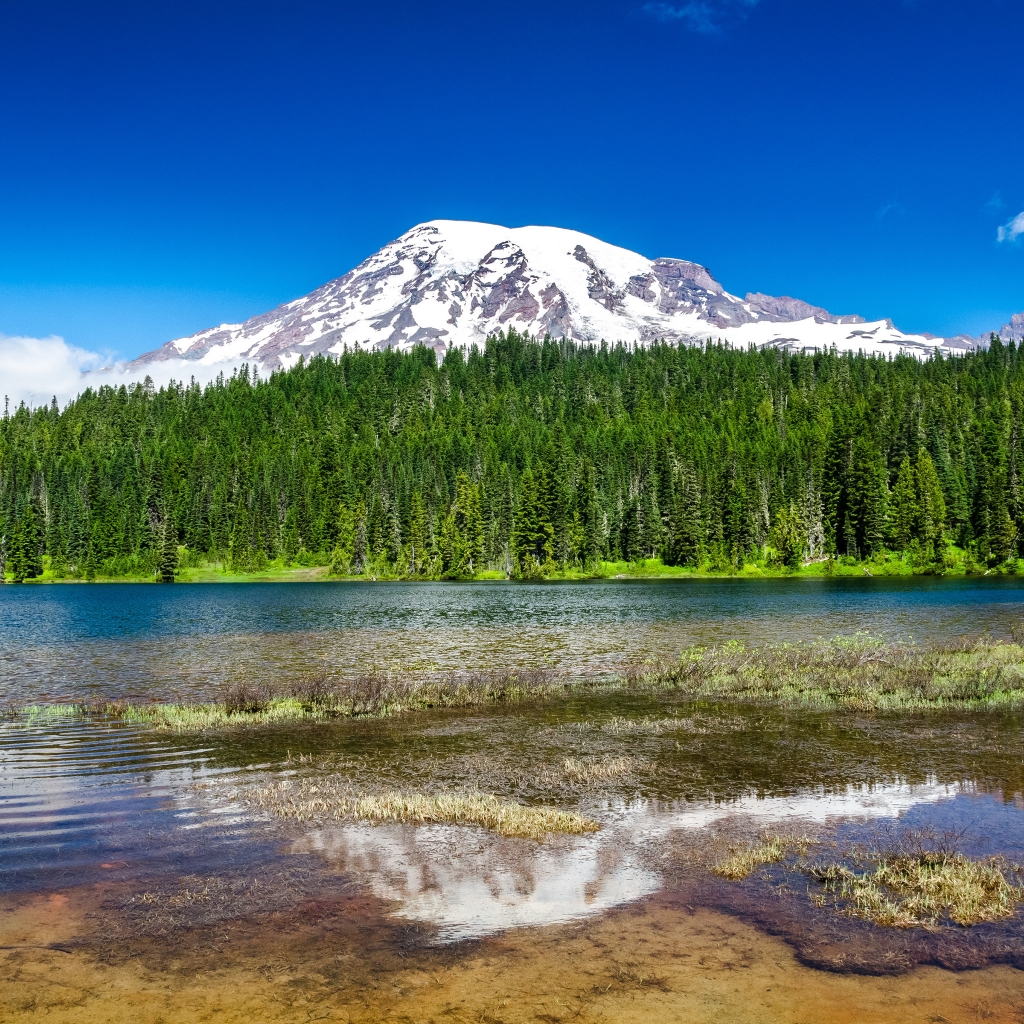 Mount Rainier National Park for 1024 x 1024 iPad resolution