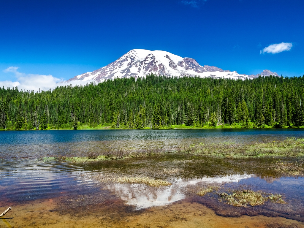 Mount Rainier National Park for 1024 x 768 resolution