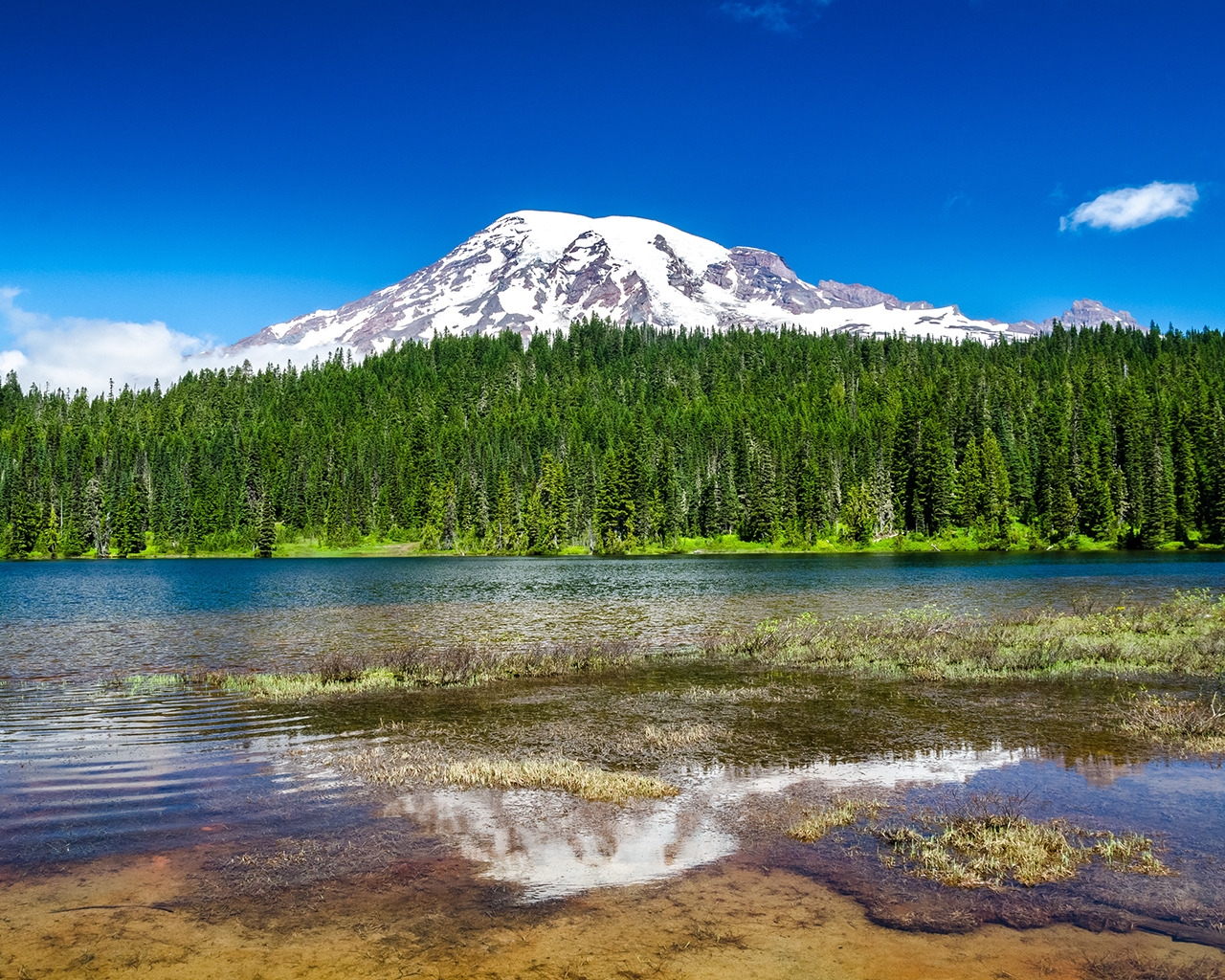 Mount Rainier National Park for 1280 x 1024 resolution