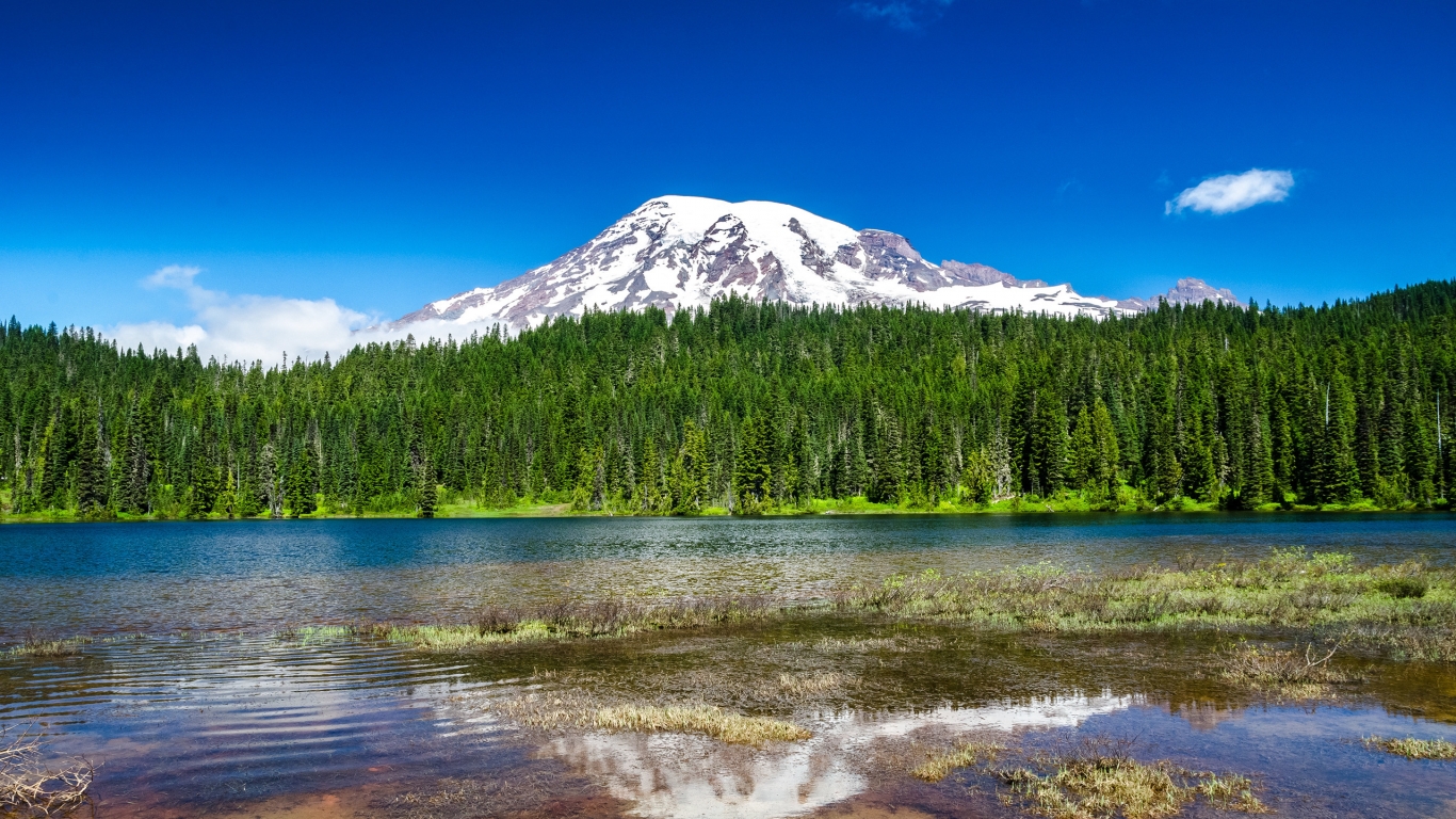 Mount Rainier National Park for 1366 x 768 HDTV resolution