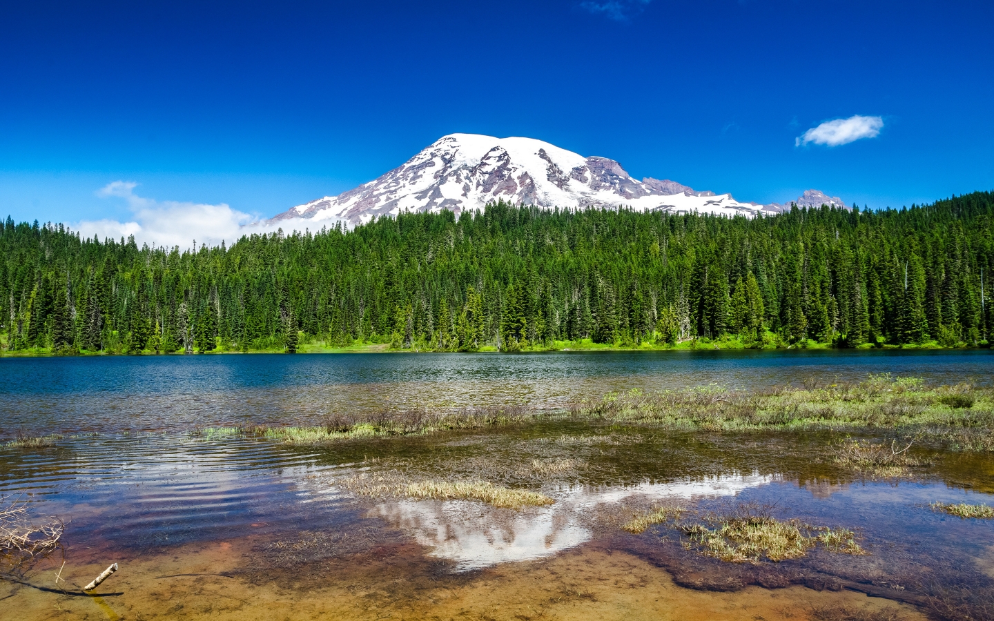 Mount Rainier National Park for 1440 x 900 widescreen resolution