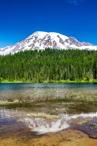 Mount Rainier National Park for 320 x 480 iPhone resolution