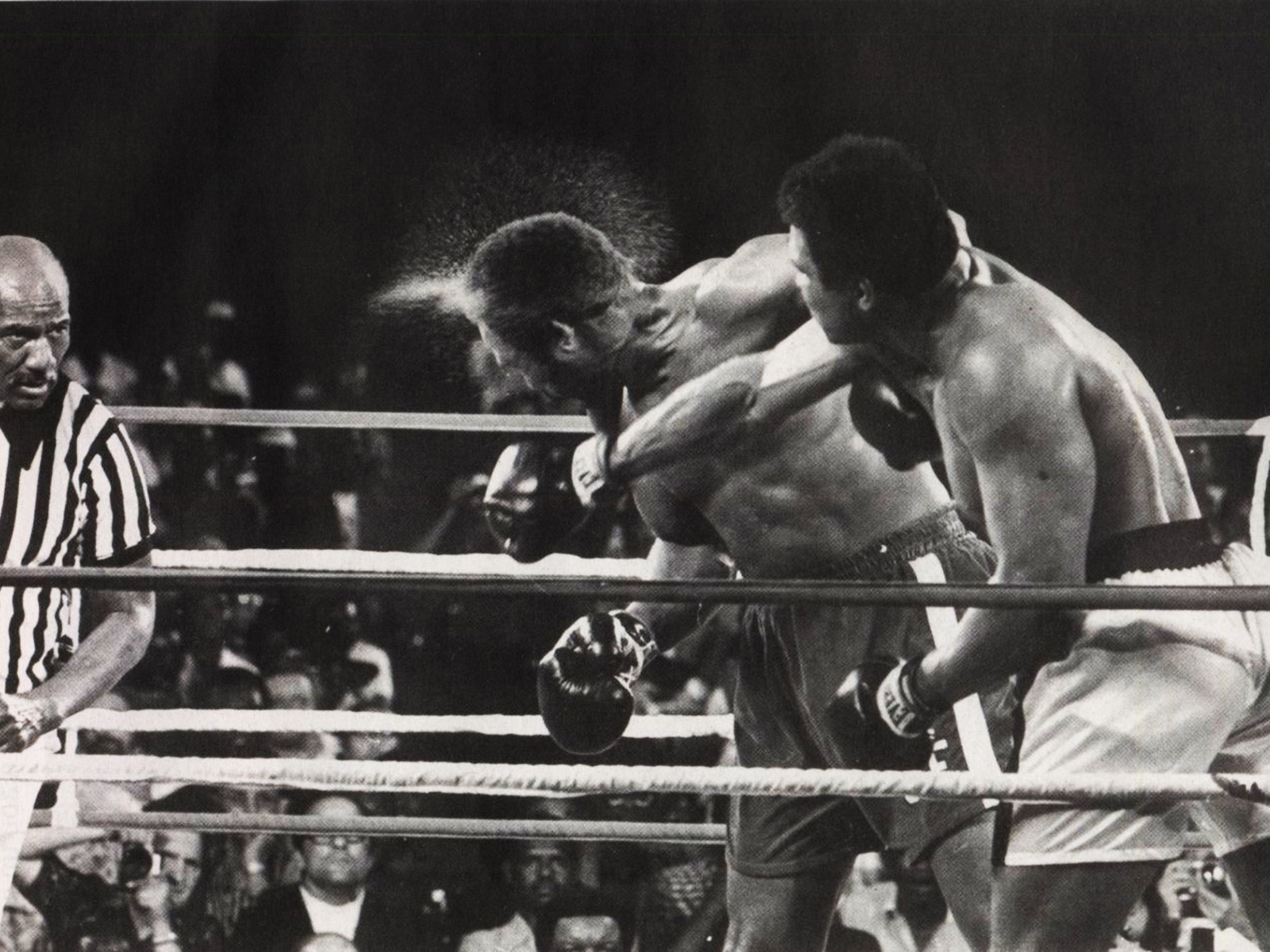 Muhammad Ali Hit for 1600 x 1200 resolution