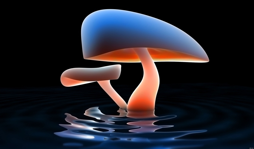 Mushroom Lake for 1024 x 600 widescreen resolution
