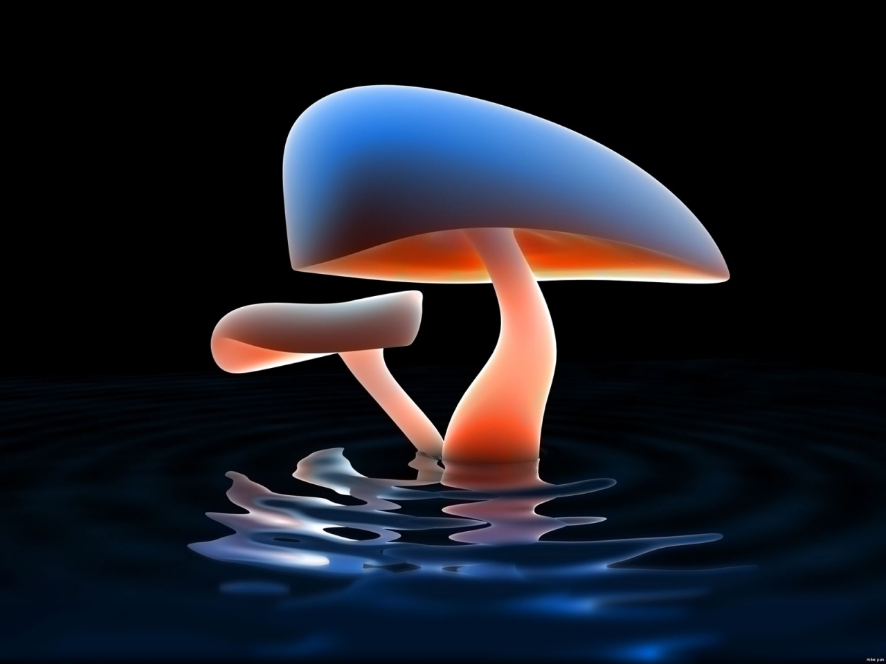 Mushroom Lake for 1280 x 960 resolution