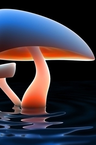 Mushroom Lake for 320 x 480 iPhone resolution