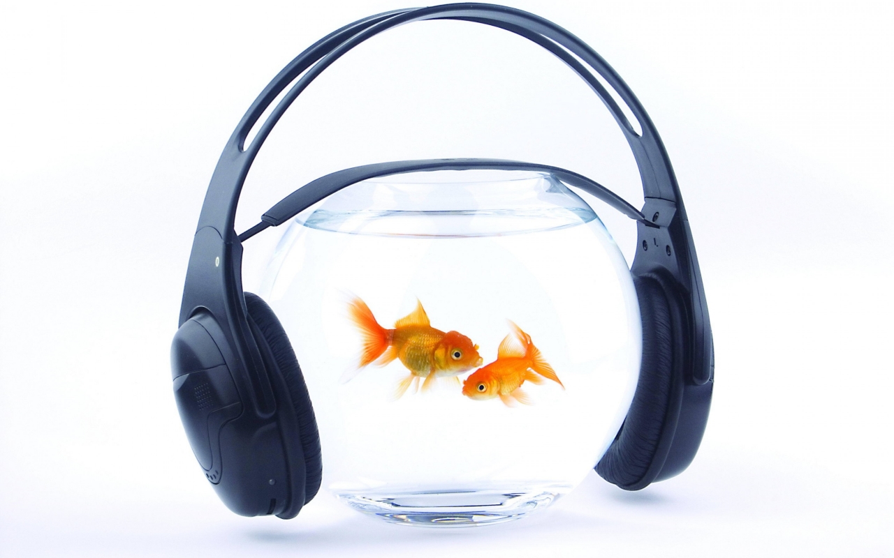 Music for Fishes for 1280 x 800 widescreen resolution