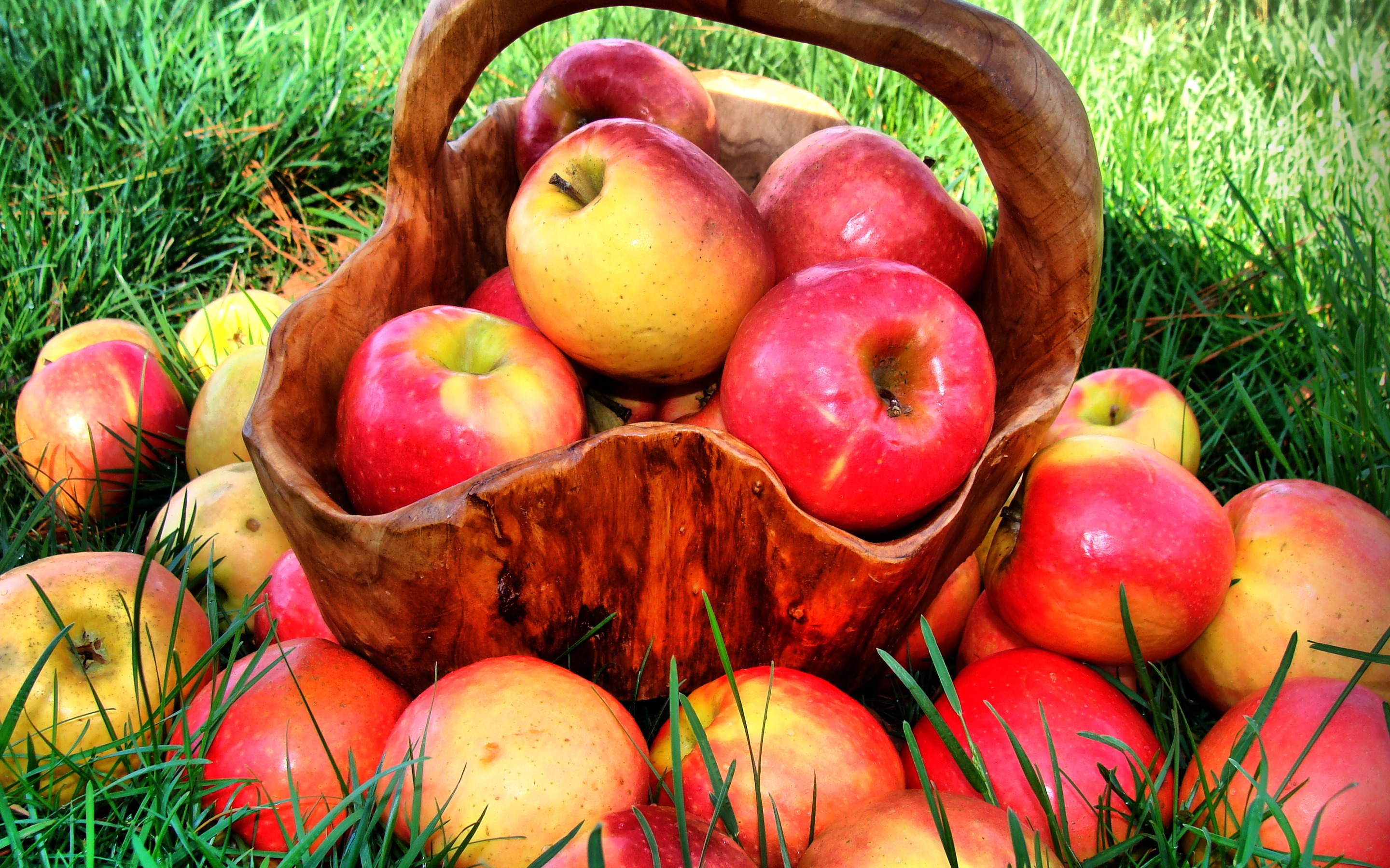 Natural Apples for 2880 x 1800 Retina Display resolution