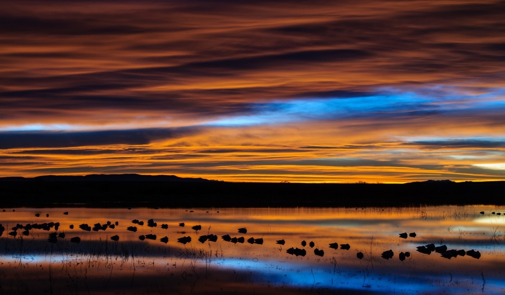 New Mexico Sunset Reflection for 1024 x 600 widescreen resolution