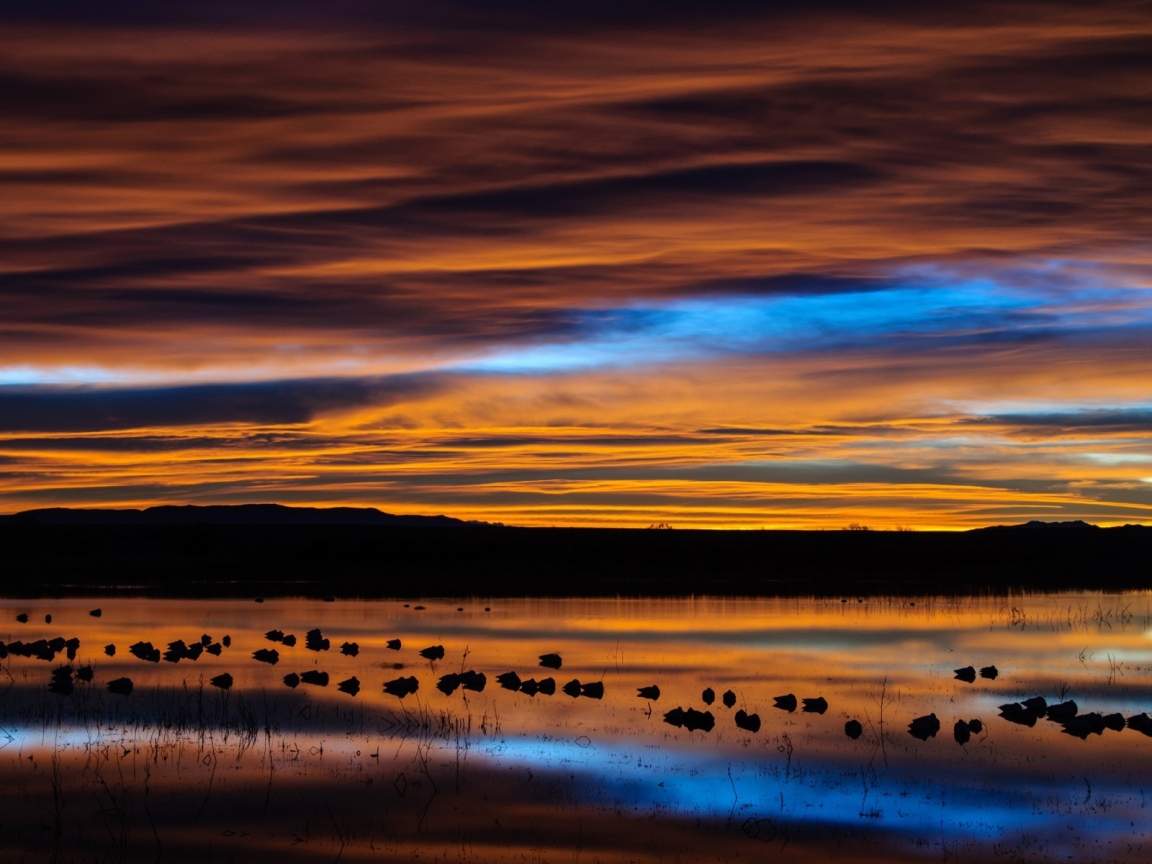 New Mexico Sunset Reflection for 1152 x 864 resolution