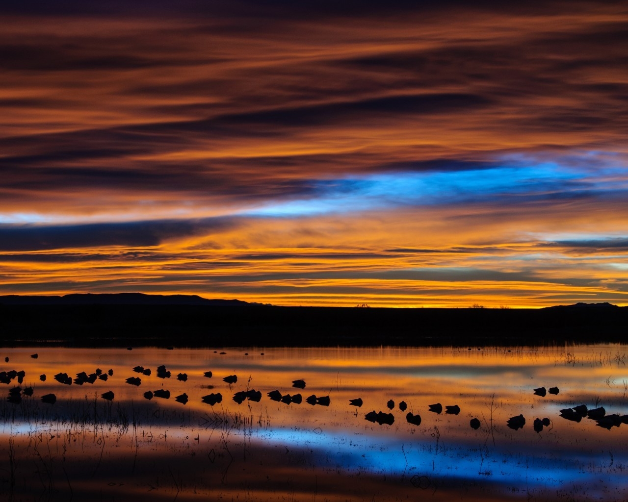 New Mexico Sunset Reflection for 1280 x 1024 resolution