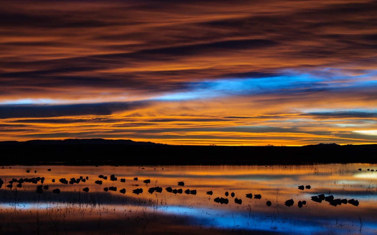 New Mexico Sunset Reflection for 1280 x 800 widescreen resolution
