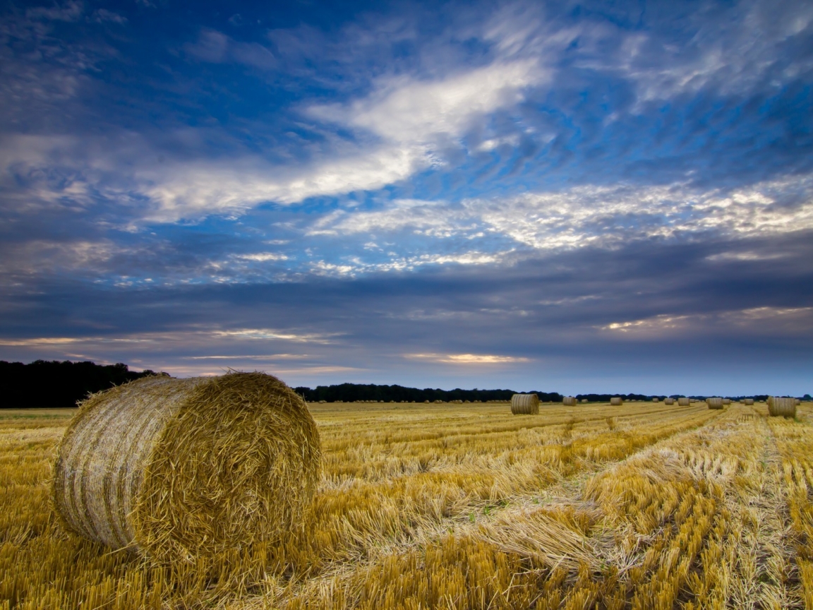 Norfolk United Kingdom for 1152 x 864 resolution