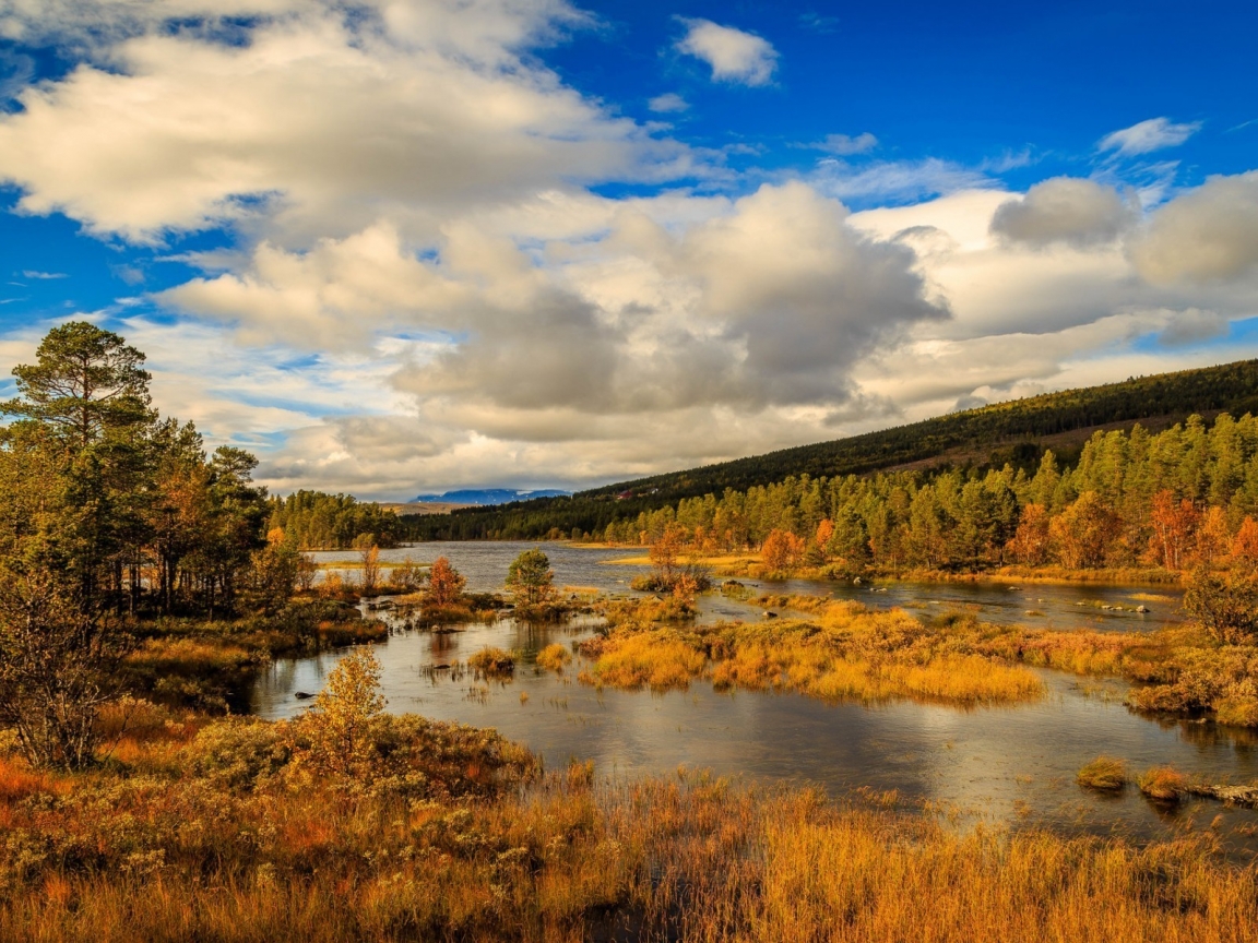 Norway Autumn Landscape for 1152 x 864 resolution