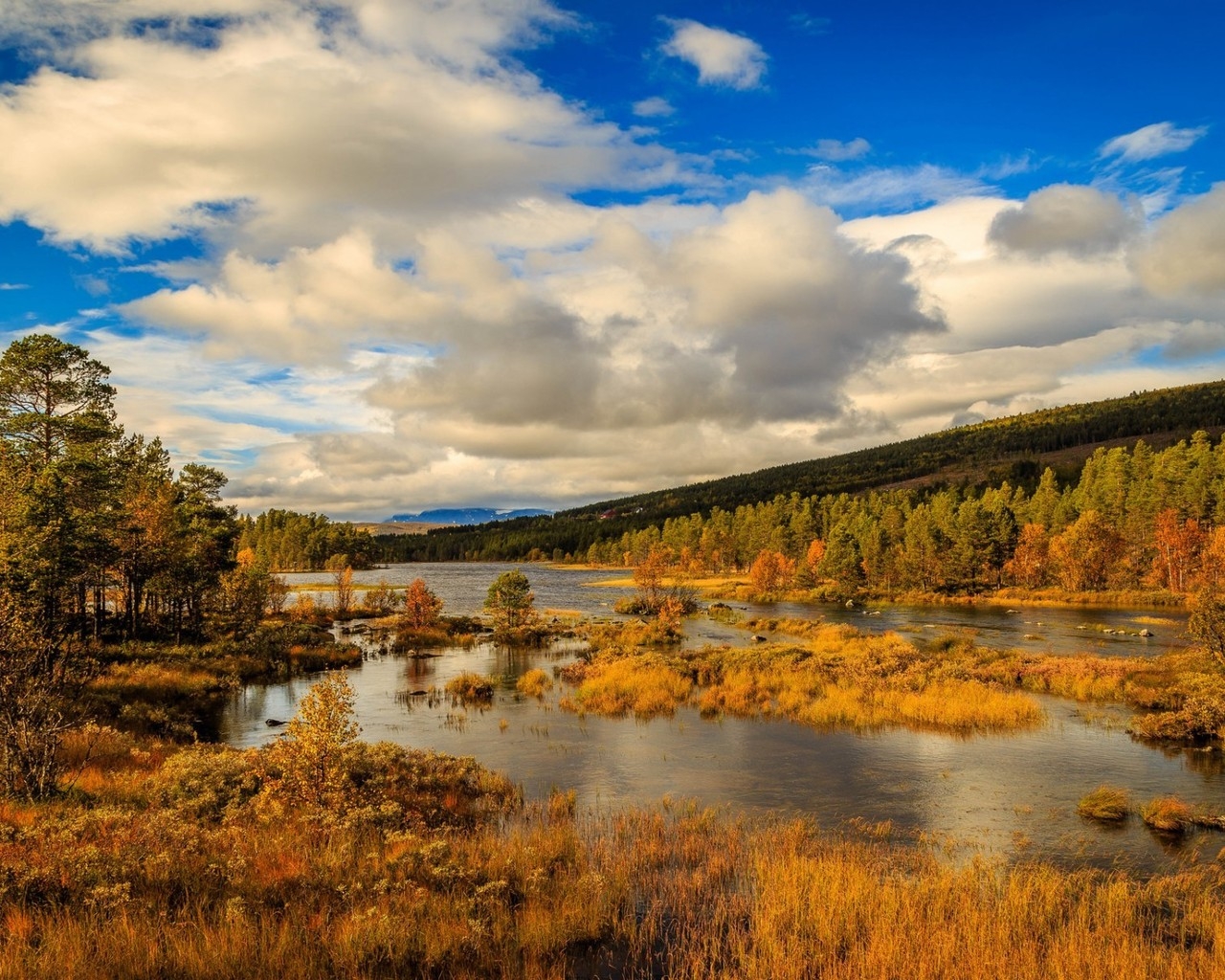 Norway Autumn Landscape for 1280 x 1024 resolution