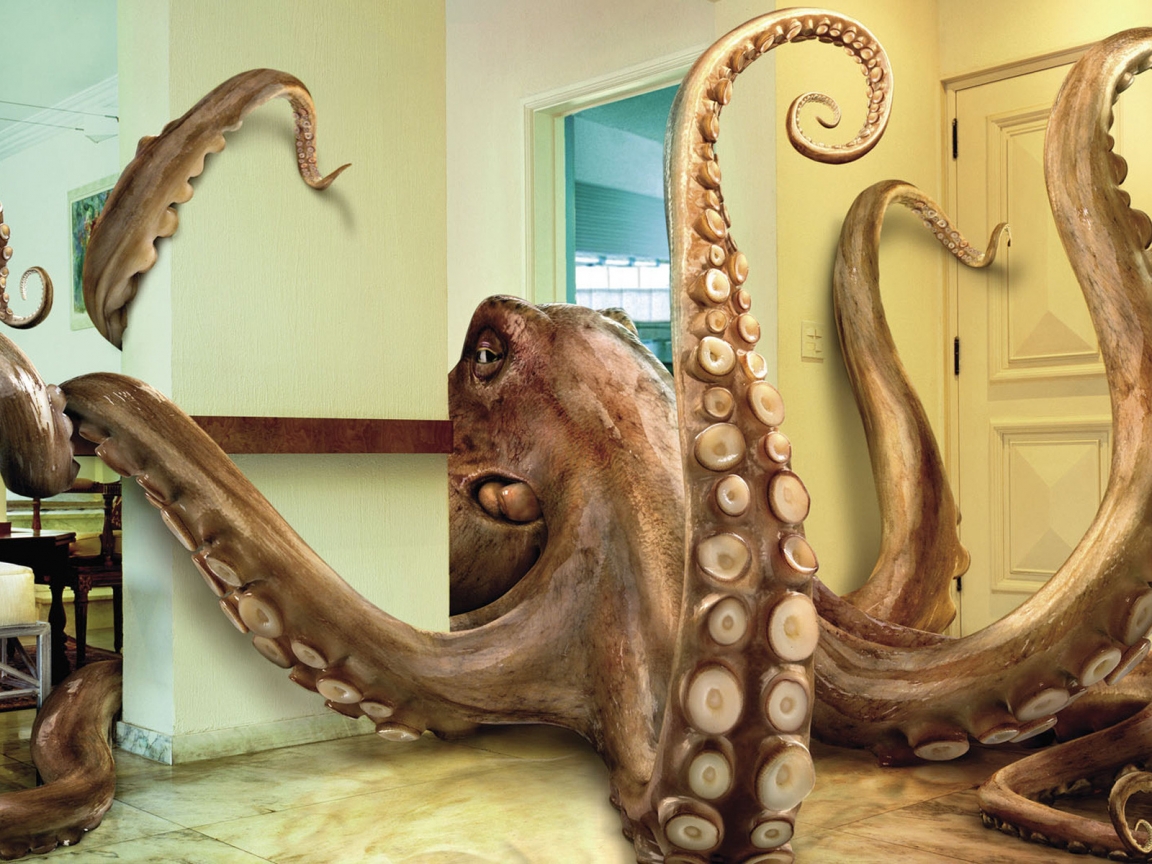 Octopus for 1152 x 864 resolution