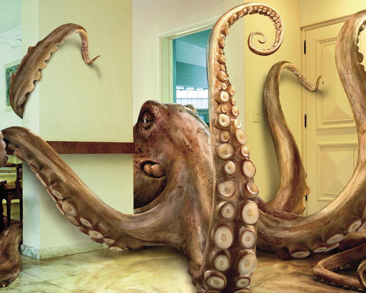 Octopus for 1280 x 1024 resolution