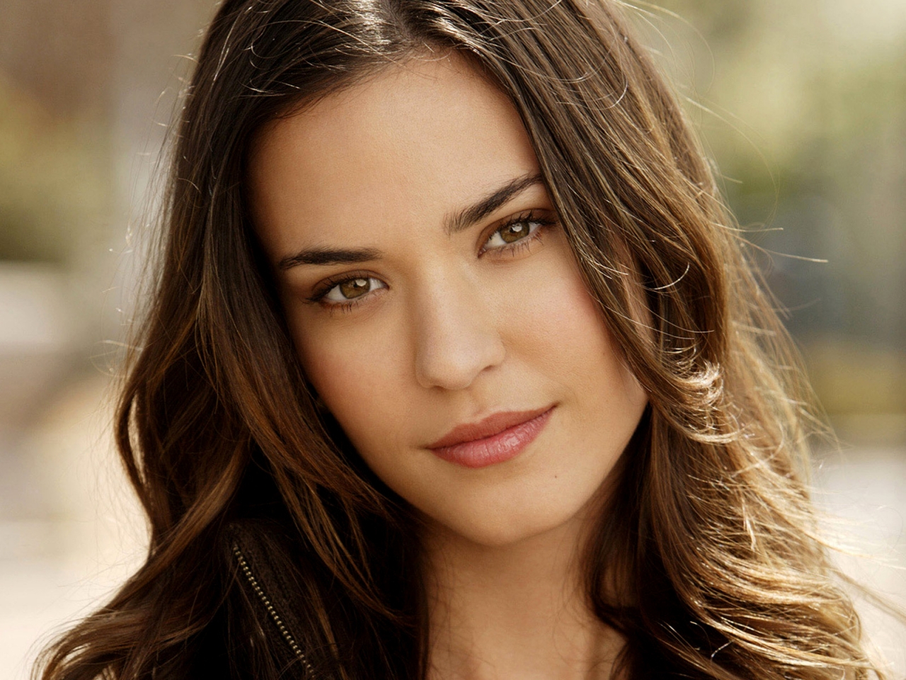 Odette Annable for 1280 x 960 resolution