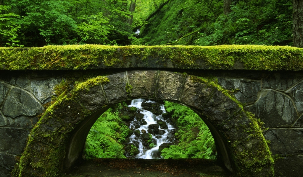 Old Green Bridge for 1024 x 600 widescreen resolution
