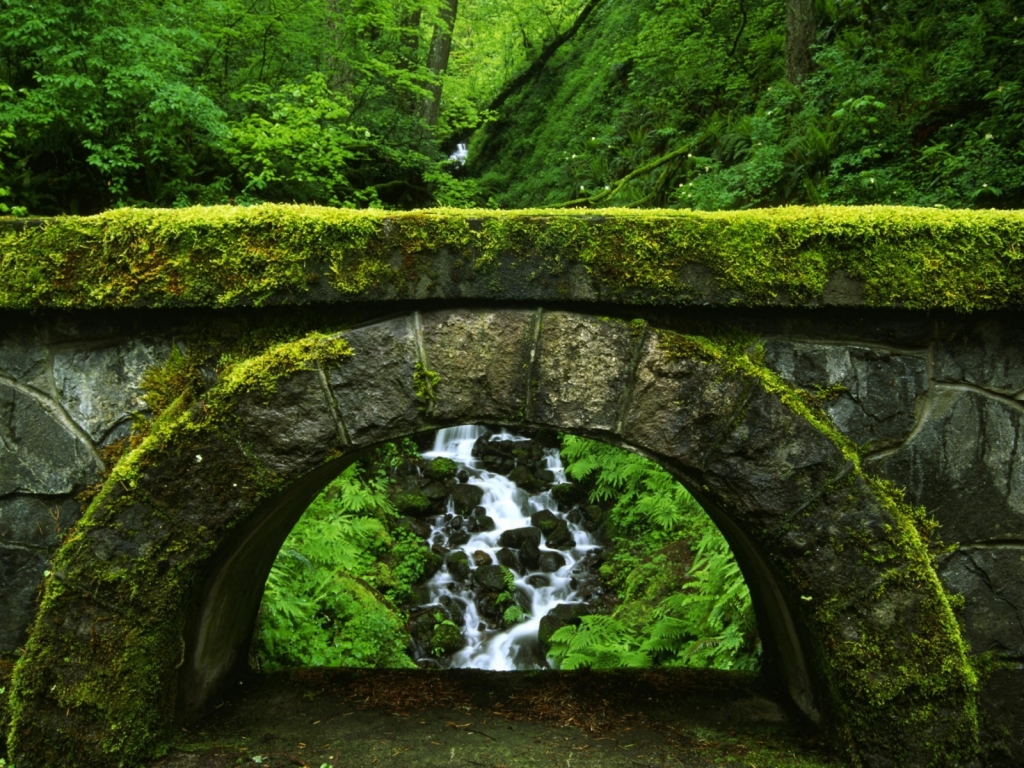 Old Green Bridge for 1024 x 768 resolution