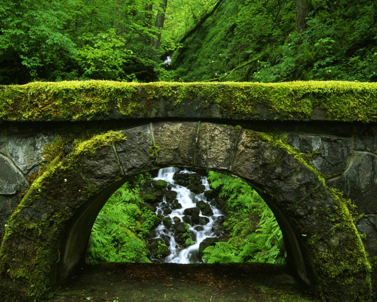 Old Green Bridge for 1280 x 1024 resolution