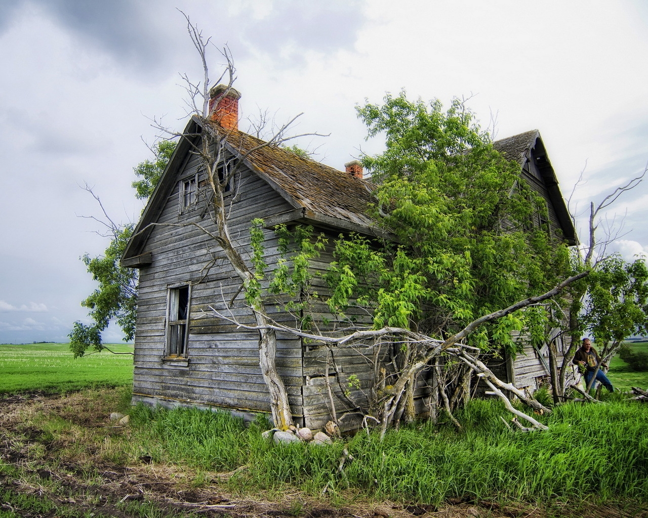 Old Timber House for 1280 x 1024 resolution