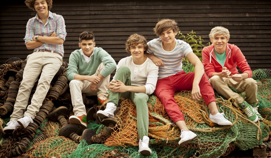 One Direction Poster for 1024 x 600 widescreen resolution