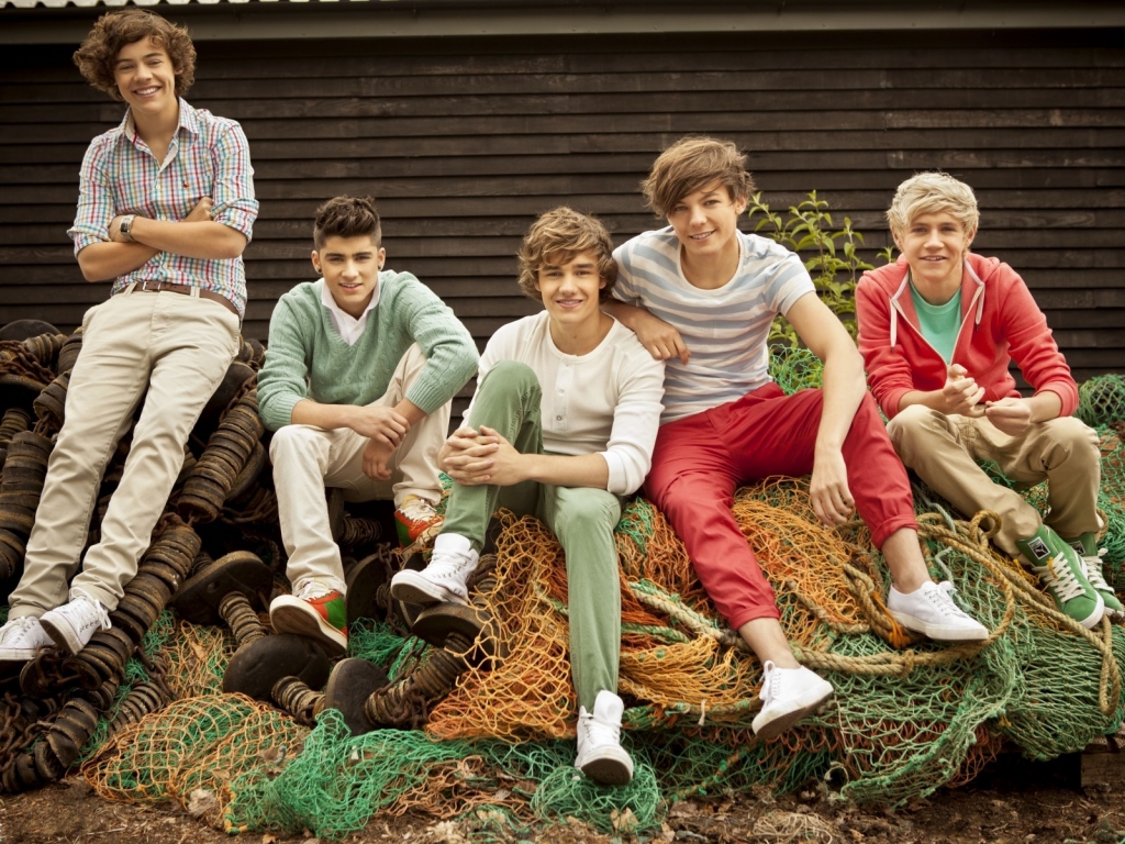 One Direction Poster for 1024 x 768 resolution