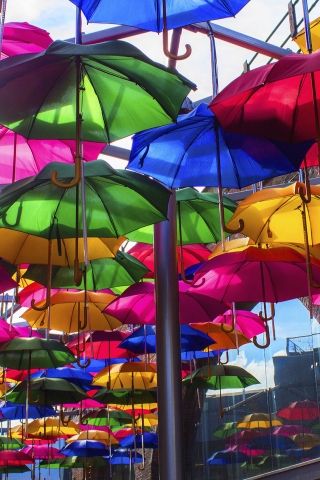 Opened Colorful Umbrellas for 320 x 480 iPhone resolution