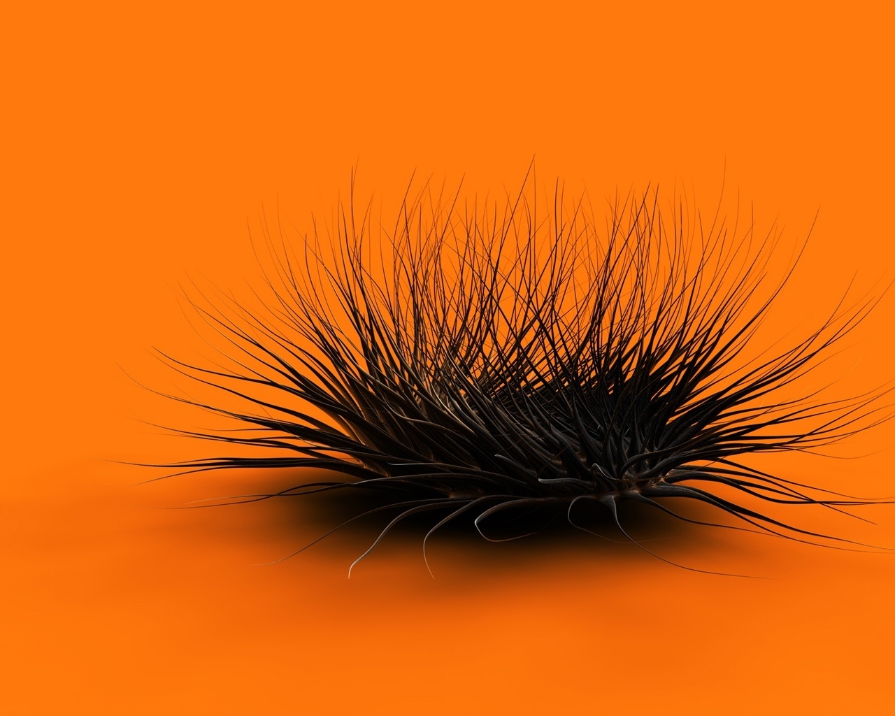 Orange Chaos for 1280 x 1024 resolution