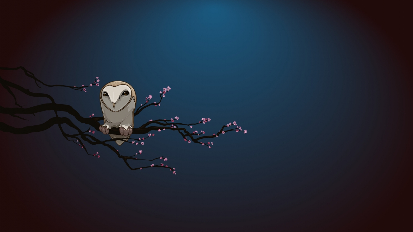 Owl Alone for 1366 x 768 HDTV resolution