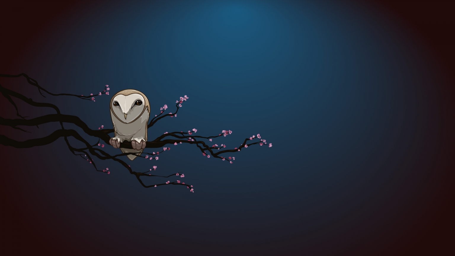 Owl Alone for 1536 x 864 HDTV resolution