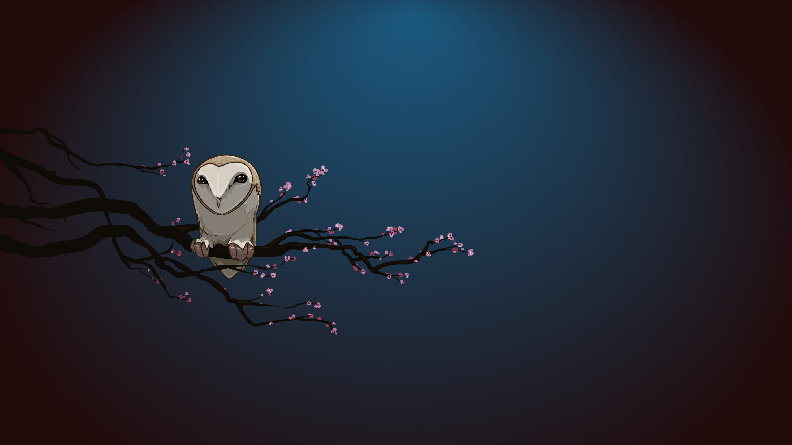 Owl Alone for 2560x1440 HDTV resolution