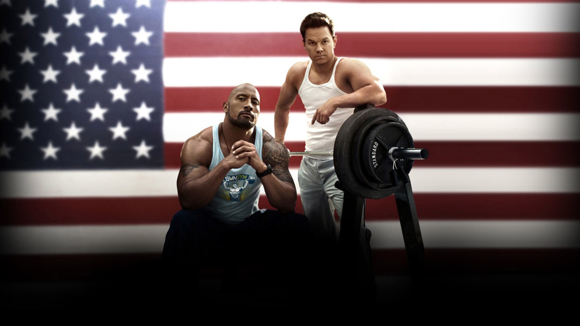 Pain and Gain 2013 for 1920 x 1080 HDTV 1080p resolution