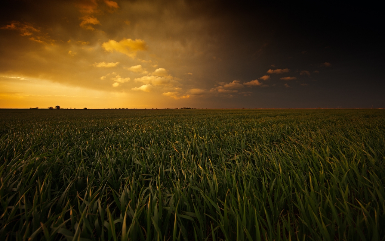 Painted Plains for 1280 x 800 widescreen resolution