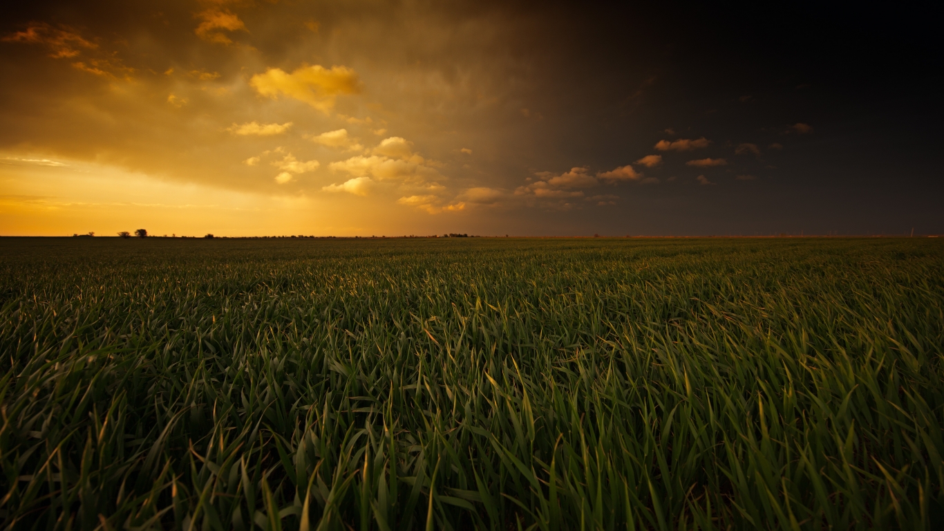 Painted Plains for 1366 x 768 HDTV resolution