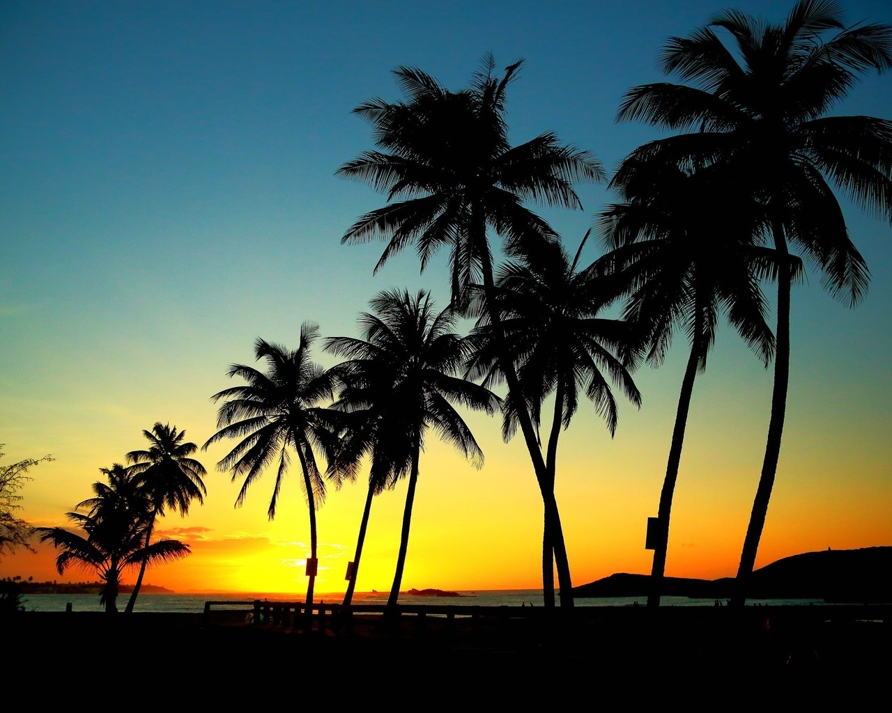 Palm Trees in Sunset for 1280 x 1024 resolution