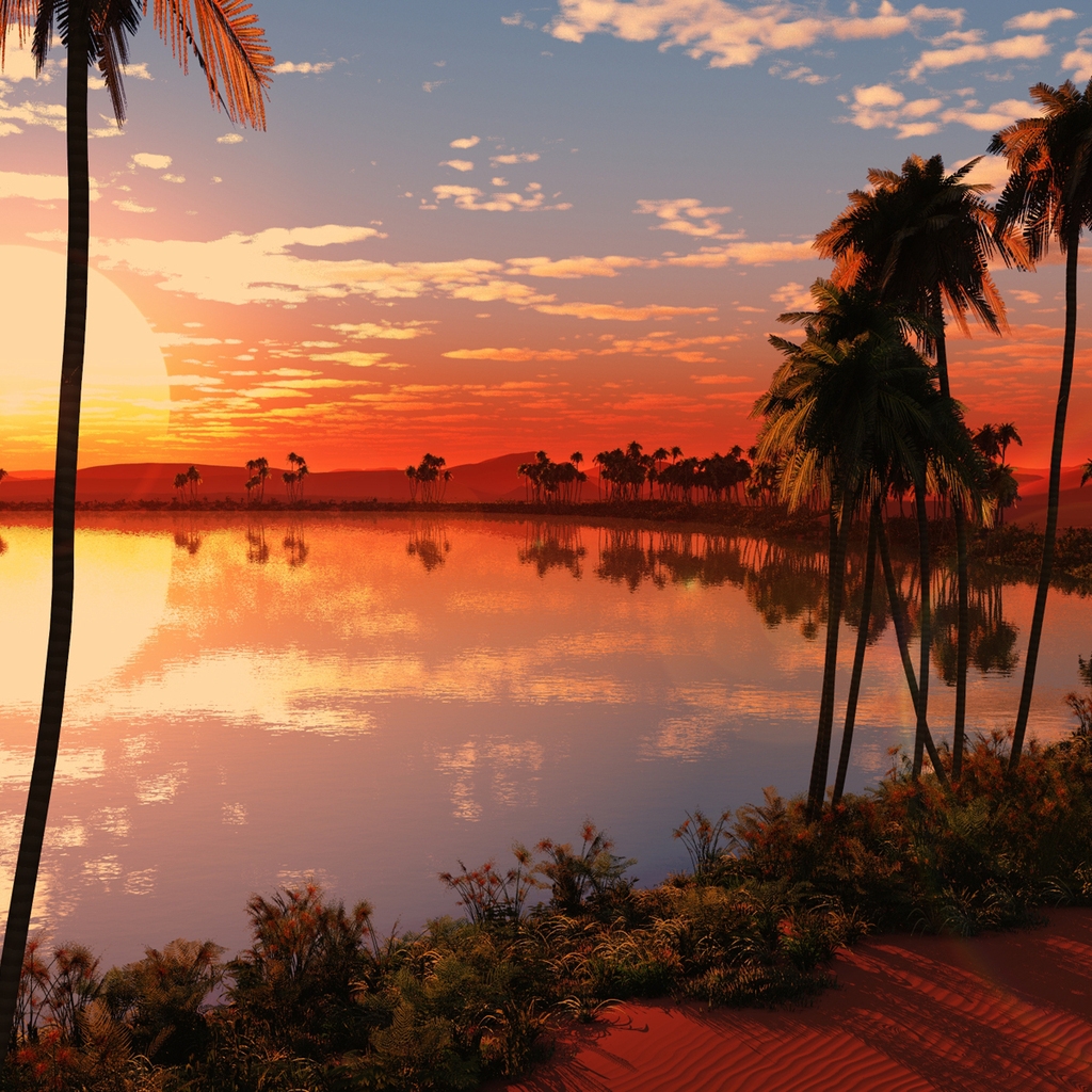 Palms Lake Sunset for 1024 x 1024 iPad resolution