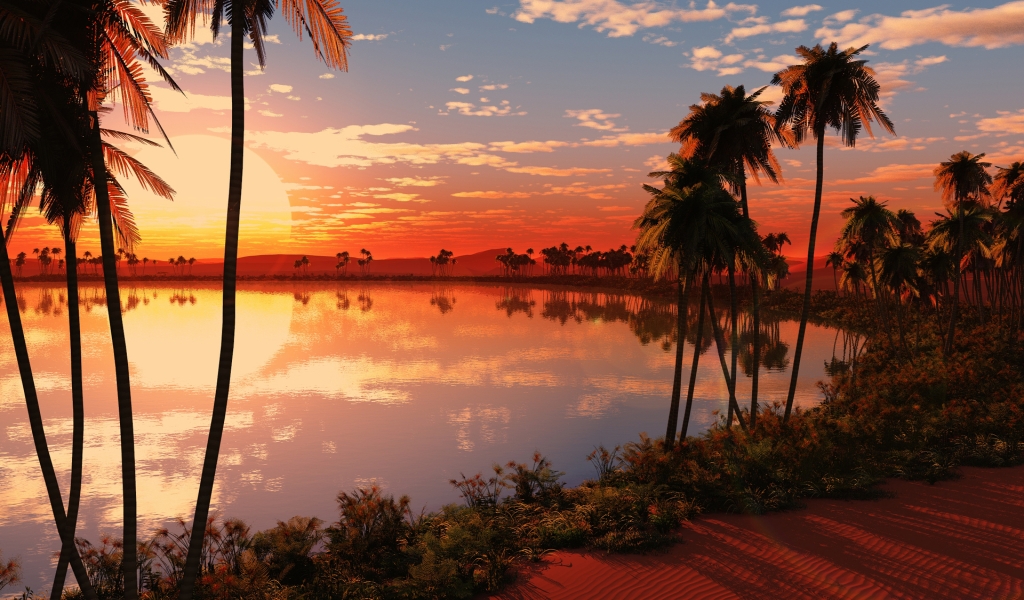 Palms Lake Sunset for 1024 x 600 widescreen resolution