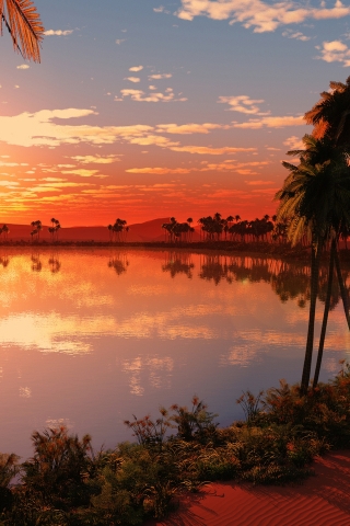Palms Lake Sunset for 320 x 480 iPhone resolution