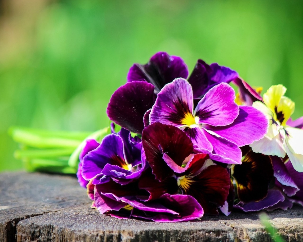 Pansies Bouquet  for 1280 x 1024 resolution