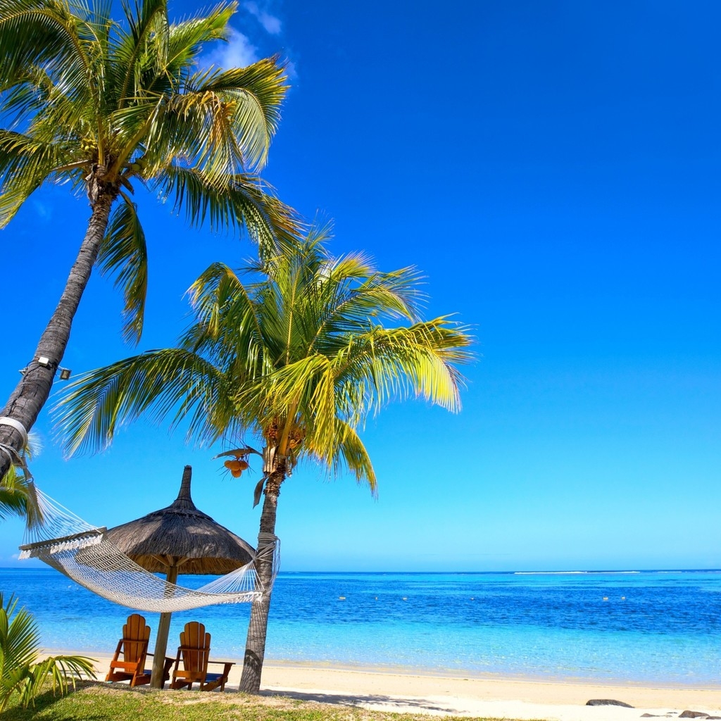 Paradise Palm Beach  for 1024 x 1024 iPad resolution