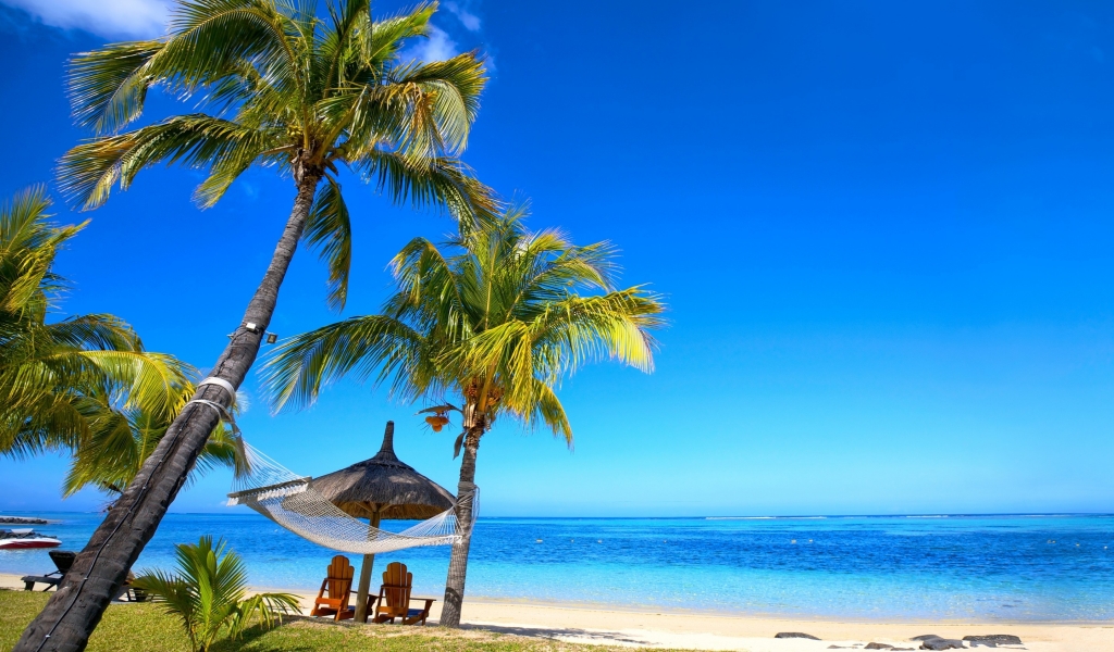 Paradise Palm Beach  for 1024 x 600 widescreen resolution