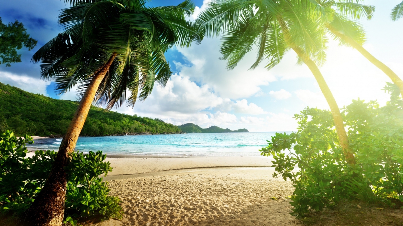 Paradise Palm Beach for 1366 x 768 HDTV resolution