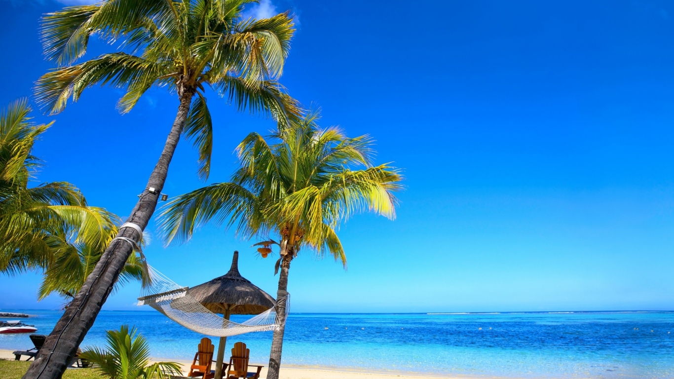 Paradise Palm Beach  for 1366 x 768 HDTV resolution